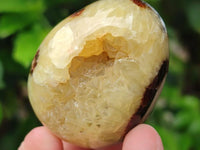 Polished Mixed of Septerye Eggs and Standing Free Forms x 6 From Mahajanga, Madagascar