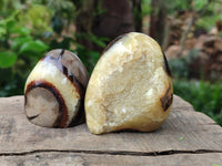 Polished Mixed of Septerye Eggs and Standing Free Forms x 6 From Mahajanga, Madagascar