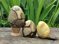 Polished Mixed of Septerye Eggs and Standing Free Forms x 6 From Mahajanga, Madagascar