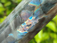 Polished Labradorite Display Crystals x 3 From Tulear, Madagascar