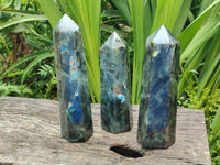 Polished Labradorite Display Crystals x 3 From Tulear, Madagascar