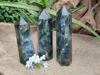 Polished Labradorite Display Crystals x 3 From Tulear, Madagascar