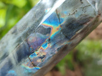 Polished Labradorite Display Crystals x 3 From Tulear, Madagascar