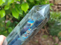 Polished Labradorite Display Crystals x 3 From Tulear, Madagascar