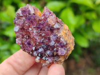 Natural Dark Purple Amethyst Quartz Crystal Plates x 35 From Boekenhouthoek, South Africa