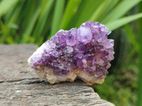 Natural Dark Purple Amethyst Quartz Crystal Plates x 35 From Boekenhouthoek, South Africa