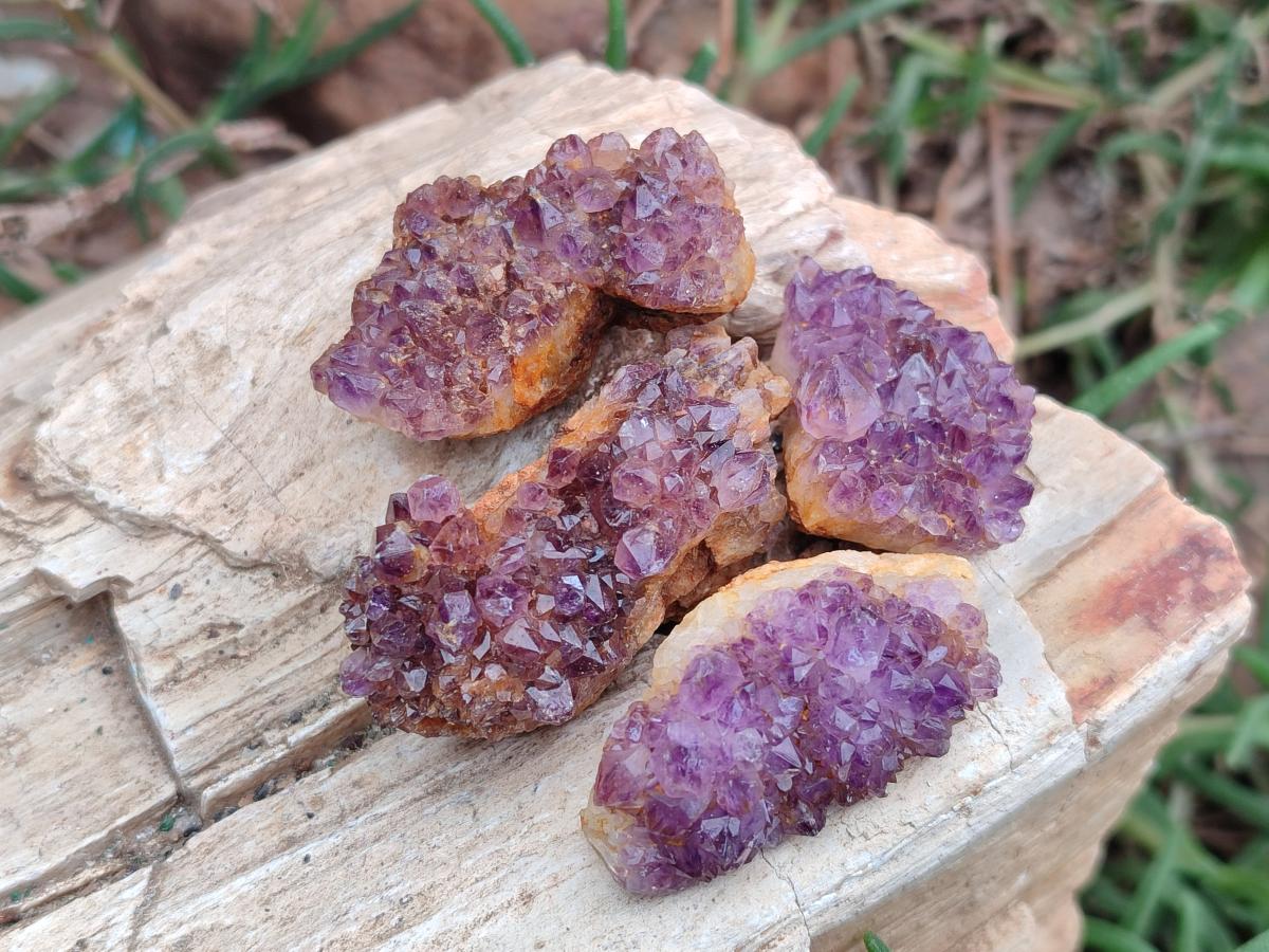 Natural Dark Purple Amethyst Quartz Crystal Plates x 35 From Boekenhouthoek, South Africa