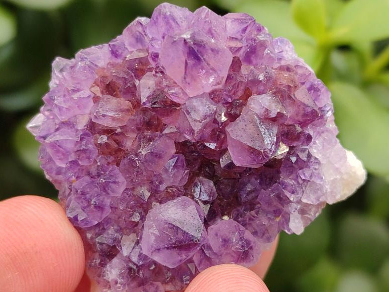 Natural Dark Purple Amethyst Quartz Crystal Plates x 35 From Boekenhouthoek, South Africa