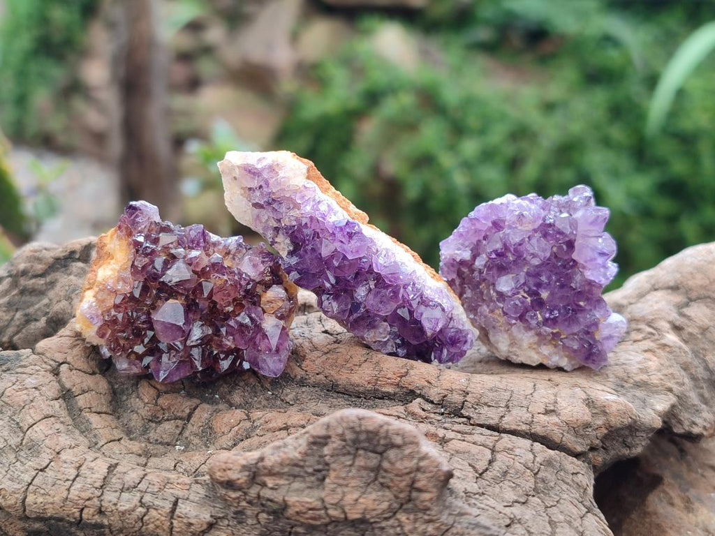 Natural Dark Purple Amethyst Quartz Crystal Plates x 35 From Boekenhouthoek, South Africa