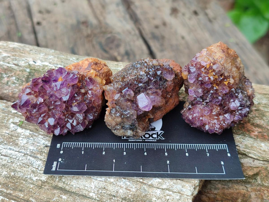 Natural Dark Purple Amethyst Quartz Crystal Plates x 35 From Boekenhouthoek, South Africa