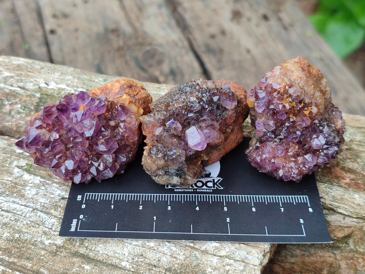 Natural Dark Purple Amethyst Quartz Crystal Plates x 35 From Boekenhouthoek, South Africa
