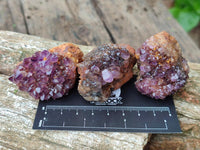 Natural Dark Purple Amethyst Quartz Crystal Plates x 35 From Boekenhouthoek, South Africa