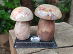 Polished Polychrome Jasper Mushrooms x 6 From NW Coast, Madagascar