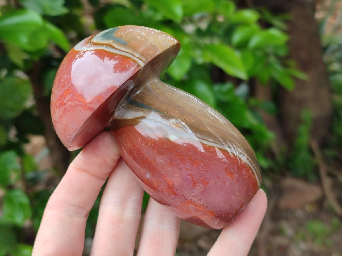Polished Polychrome Jasper Mushrooms x 6 From NW Coast, Madagascar