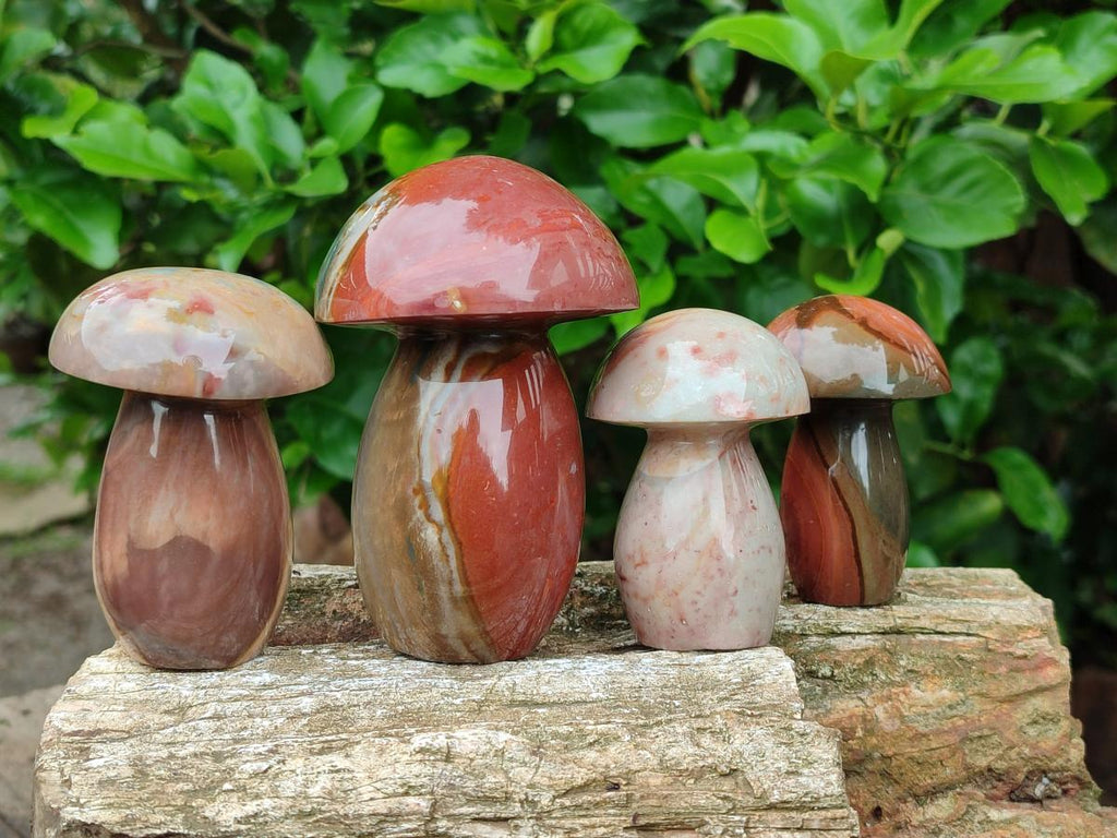 Polished Polychrome Jasper Mushrooms x 6 From NW Coast, Madagascar