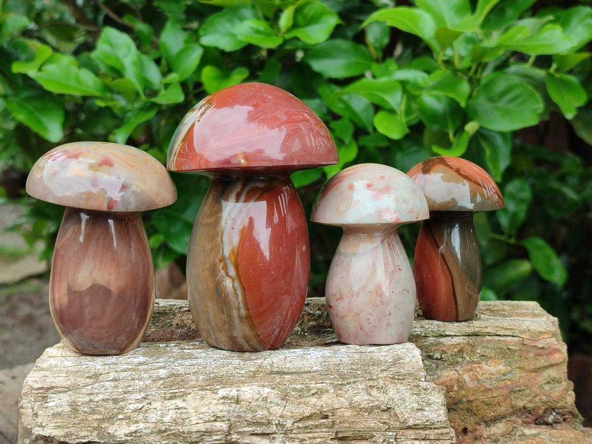 Polished Polychrome Jasper Mushrooms x 6 From NW Coast, Madagascar