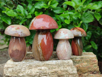 Polished Polychrome Jasper Mushrooms x 6 From NW Coast, Madagascar