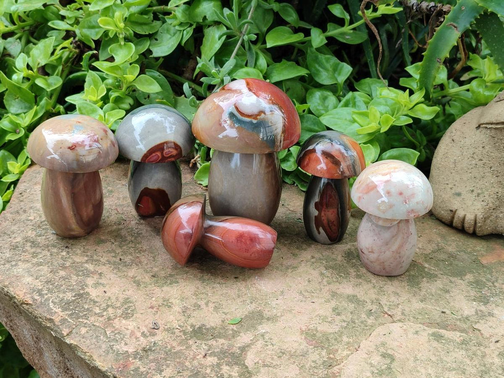 Polished Polychrome Jasper Mushrooms x 6 From NW Coast, Madagascar
