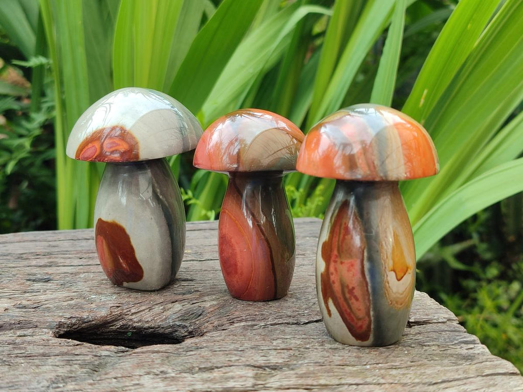 Polished Polychrome Jasper Mushrooms x 6 From NW Coast, Madagascar