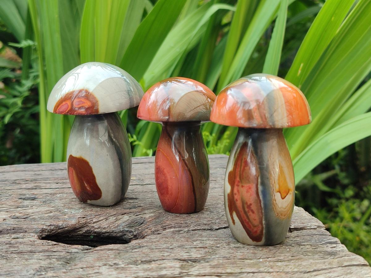 Polished Polychrome Jasper Mushrooms x 6 From NW Coast, Madagascar