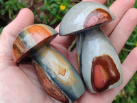 Polished Polychrome Jasper Mushrooms x 6 From NW Coast, Madagascar