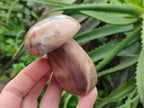 Polished Polychrome Jasper Mushrooms x 6 From NW Coast, Madagascar