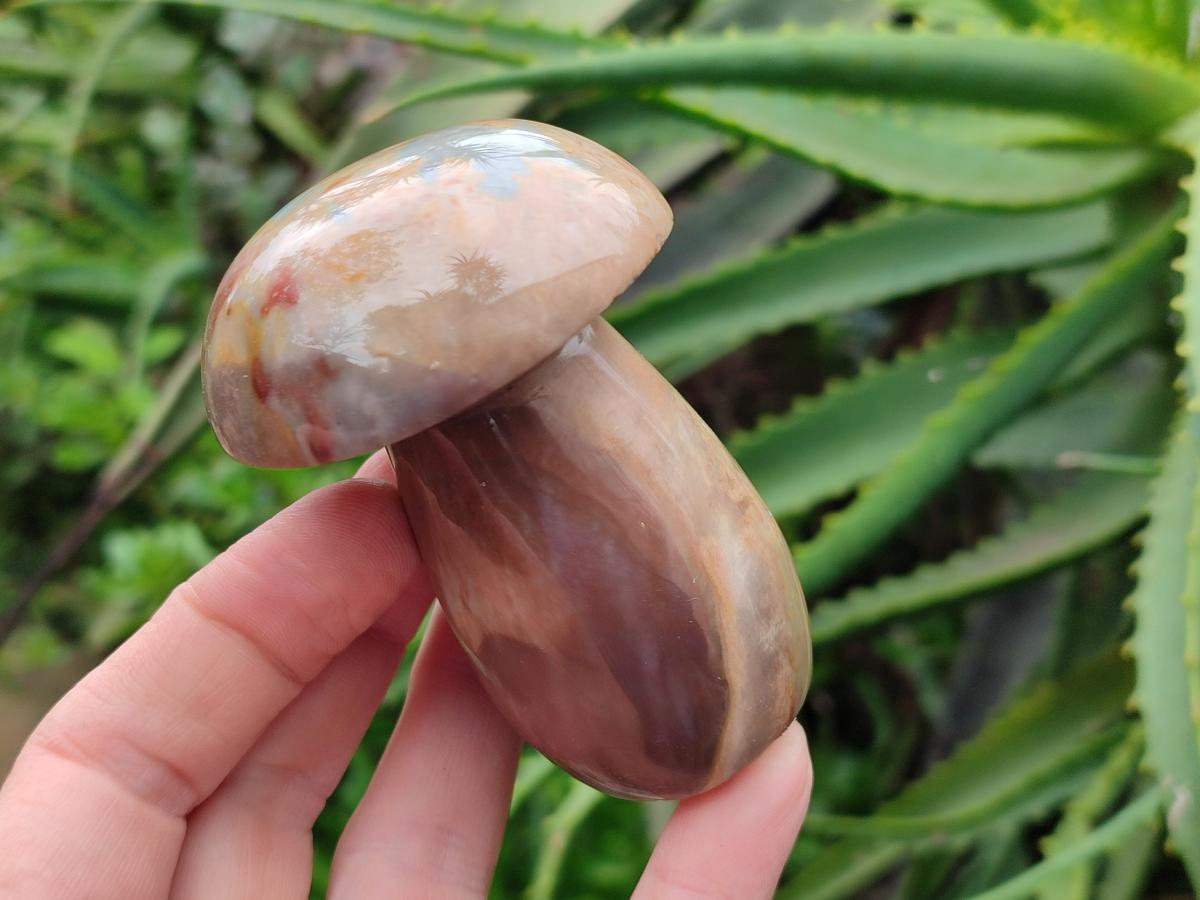 Polished Polychrome Jasper Mushrooms x 6 From NW Coast, Madagascar