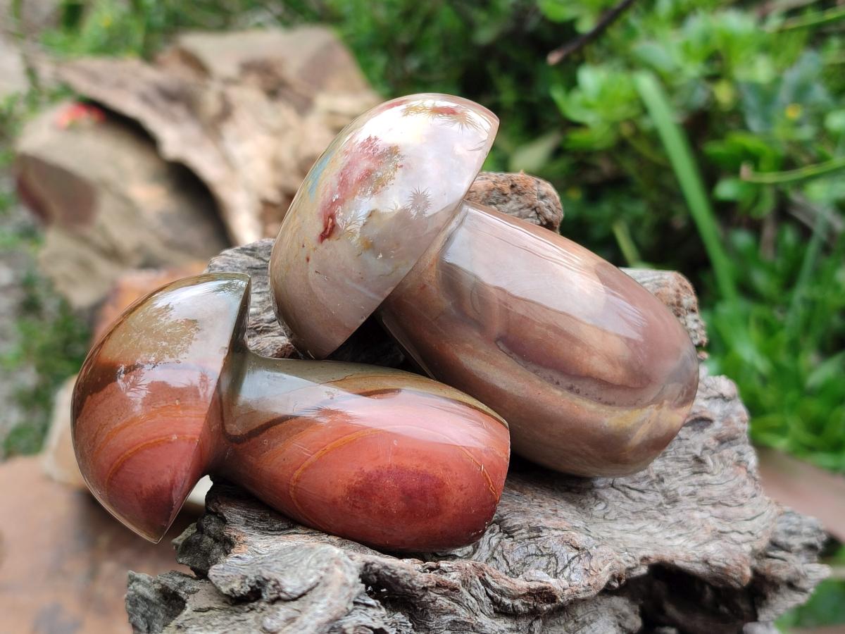 Polished Polychrome Jasper Mushrooms x 6 From NW Coast, Madagascar