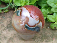 Polished Polychrome Jasper Mushrooms x 6 From NW Coast, Madagascar