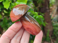 Polished Polychrome Jasper Mushrooms x 6 From NW Coast, Madagascar