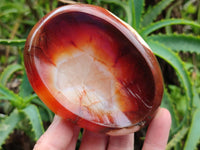 Polished Carnelian Agate Gemstone Bowls x 6 From Madagascar