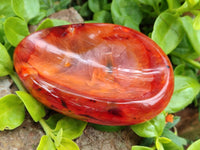 Polished Carnelian Agate Gemstone Bowls x 6 From Madagascar