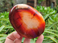 Polished Carnelian Agate Gemstone Bowls x 6 From Madagascar