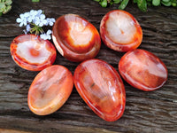 Polished Carnelian Agate Gemstone Bowls x 6 From Madagascar