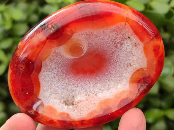 Polished Carnelian Agate Gemstone Bowls x 6 From Madagascar