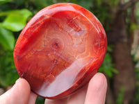 Polished Carnelian Agate Gemstone Bowls x 6 From Madagascar