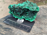 Natural Silky Malachite Specimens x 6 From Kasompe, Congo