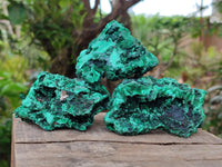 Natural Silky Malachite Specimens x 6 From Kasompe, Congo