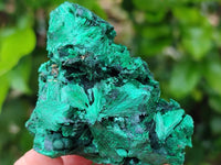 Natural Silky Malachite Specimens x 6 From Kasompe, Congo