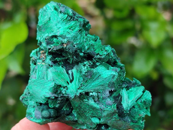 Natural Silky Malachite Specimens x 6 From Kasompe, Congo