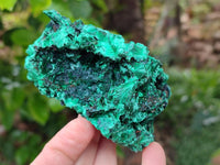 Natural Silky Malachite Specimens x 6 From Kasompe, Congo