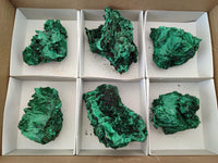 Natural Silky Malachite Specimens x 6 From Kasompe, Congo