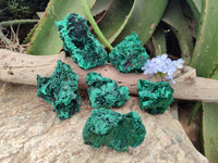 Natural Silky Malachite Specimens x 6 From Kasompe, Congo