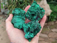 Natural Silky Malachite Specimens x 6 From Kasompe, Congo