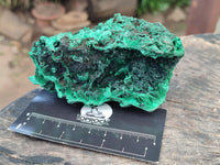 Natural Silky Malachite Specimens x 6 From Kasompe, Congo