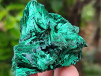 Natural Silky Malachite Specimens x 6 From Kasompe, Congo