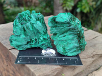 Natural Silky Malachite Specimens x 6 From Kasompe, Congo