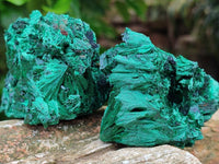 Natural Silky Malachite Specimens x 6 From Kasompe, Congo