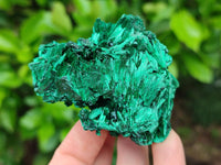 Natural Silky Malachite Specimens x 6 From Kasompe, Congo