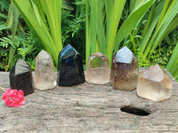 Polished Mix of Smokey and Morion Quartz Crystals x 6 From Madagascar